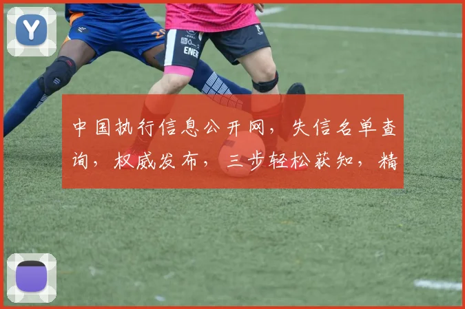 中国执行信息公开网，失信名单查询，权威发布，三步轻松获知，精准追踪