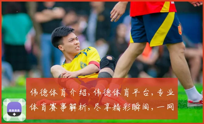 伟德体育介绍,伟德体育平台,专业体育赛事解析,尽享精彩瞬间,一网打尽