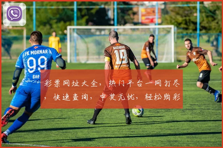 彩票网址大全，热门平台一网打尽，快速查询，中奖无忧，轻松购彩