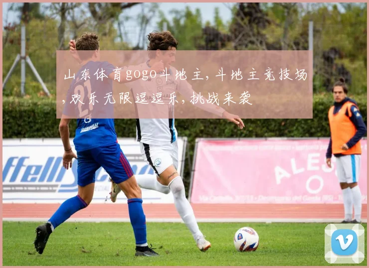 山东体育gogo斗地主,斗地主竞技场,欢乐无限逗逗乐,挑战来袭